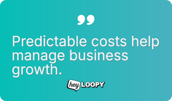 SaaS provides access instead of ownership.