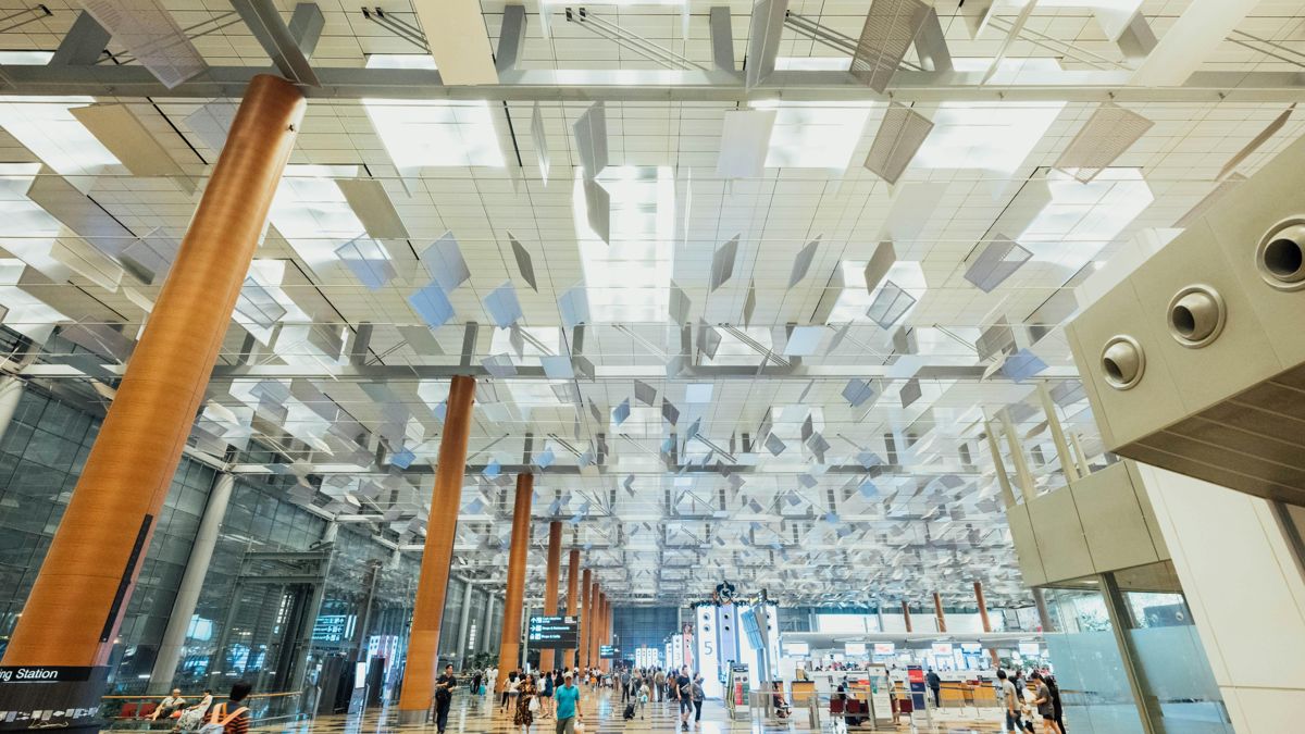 What is the Ski Instructor Progression Logic?